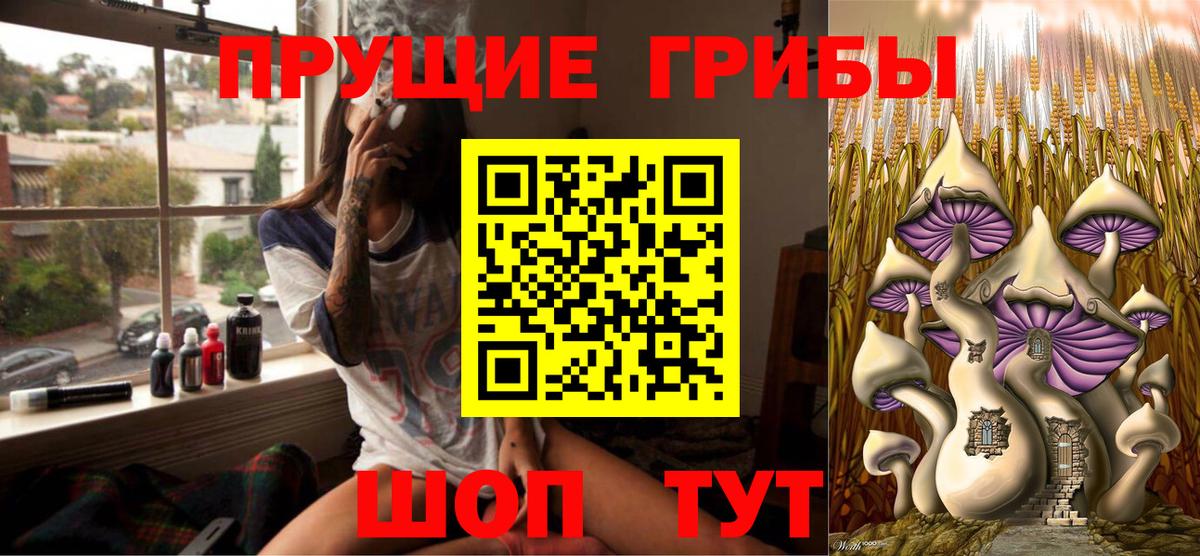 Иваново  купить закладку  Вход с VPN  Псилоцибиновые грибы MAGIC MUSHROOMS  Псилоцибиновые грибы GOLDEN TEACHER 